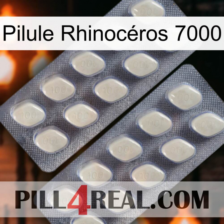 Pilule Rhinocéros 7000 07